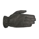 bandit_black