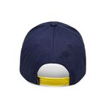 par_hat_70_back