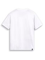 Elliptic_SS_20_back